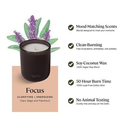 Sprig by Kohler Scented Candle, Focus