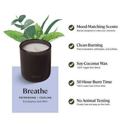 Vela aromática Sprig by Kohler, Breathe