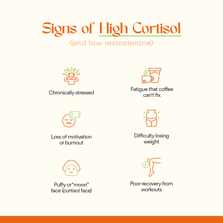 Cortisol, Who?