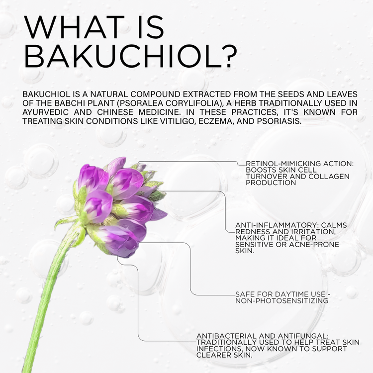 Bakuchiol Night Cream