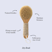 Natural Bristle Dry Brush