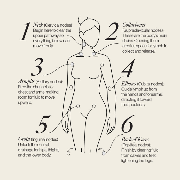 Lymphatic Drainage Dots