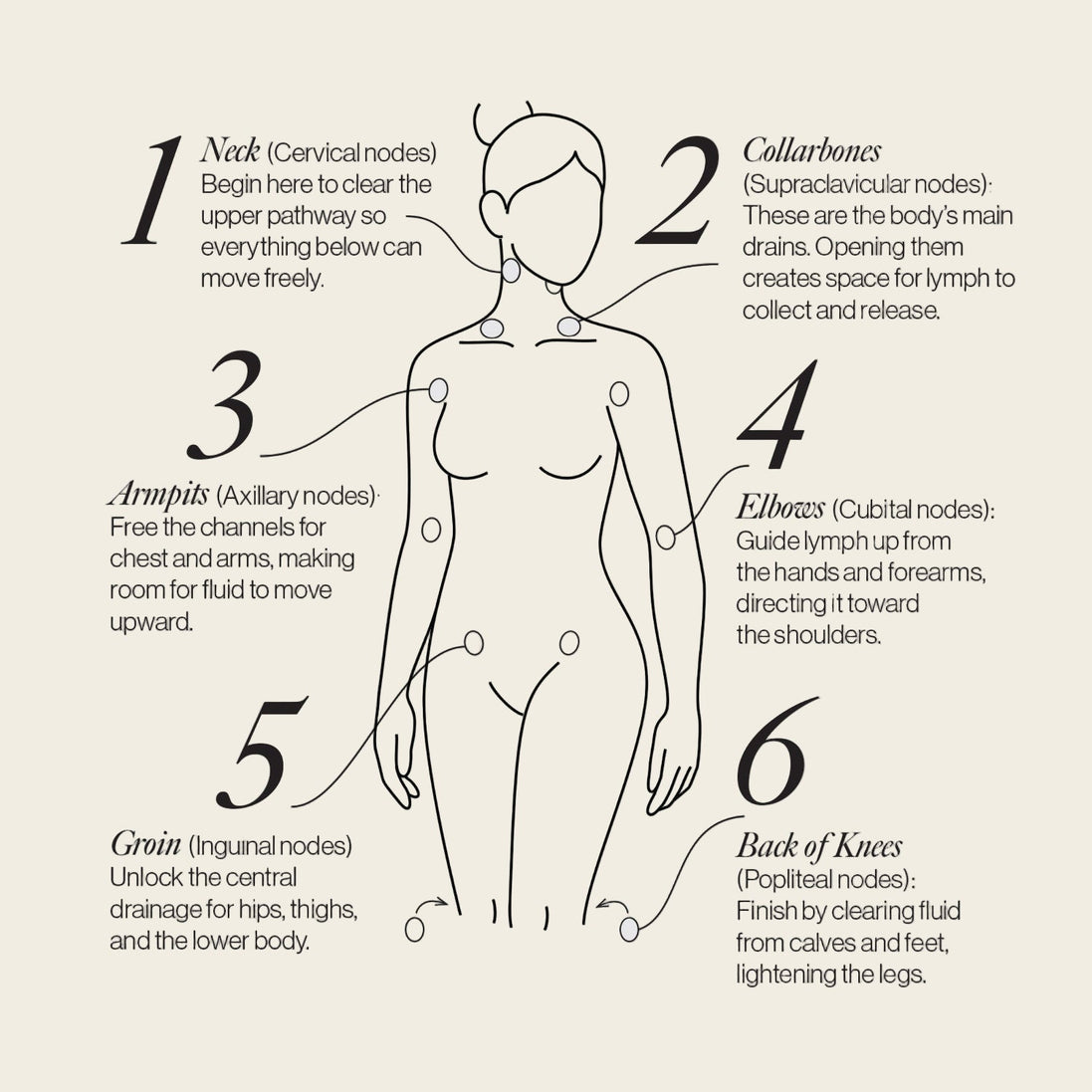 Lymphatic Drainage Dots