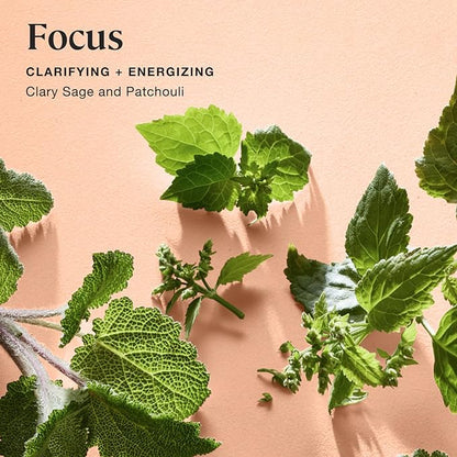 Sprig by Kohler Scented Candle, Focus