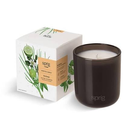 Sprig by Kohler Scented Candle, Recharge
