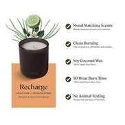 Scented Candle, Recharge