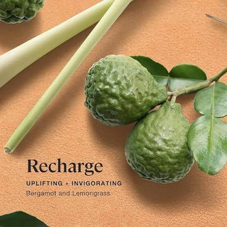 Sprig by Kohler Scented Candle, Recharge