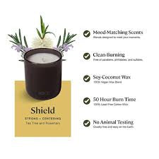 Sprig by Kohler Scented Candle, Shield