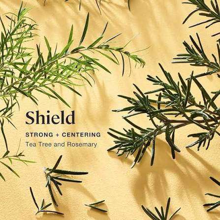 Sprig by Kohler Scented Candle, Shield