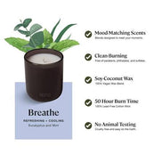 Scented Candle, Breathe