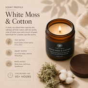 Timeless Candle - White Moss + Cotton