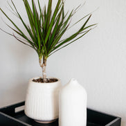 Ceramic Diffuser