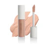 Invincible For All Perfecting Concealer