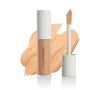 Invincible For All Perfecting Concealer
