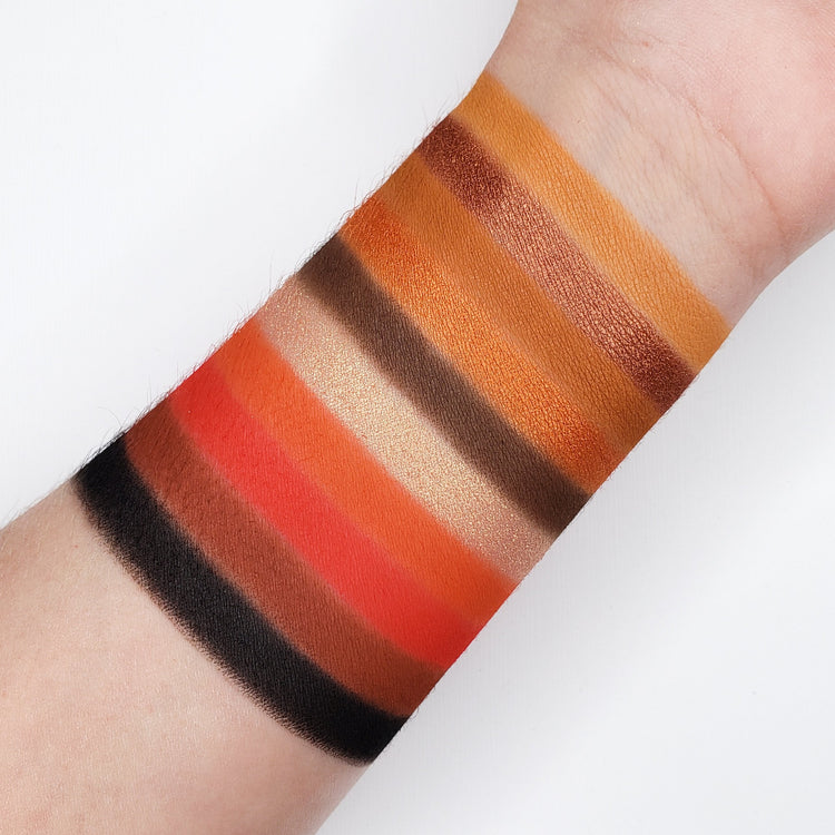 10 Color Temptation Eyeshadow Collection SN10