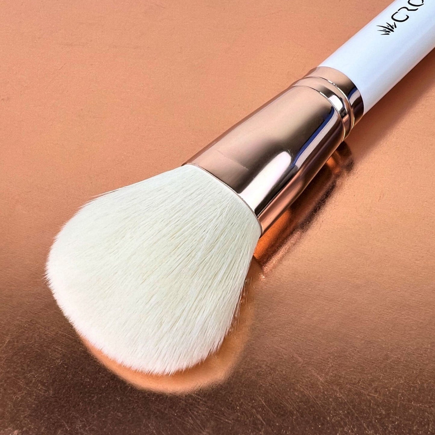 CWG01- BROCHA PARA POLVO