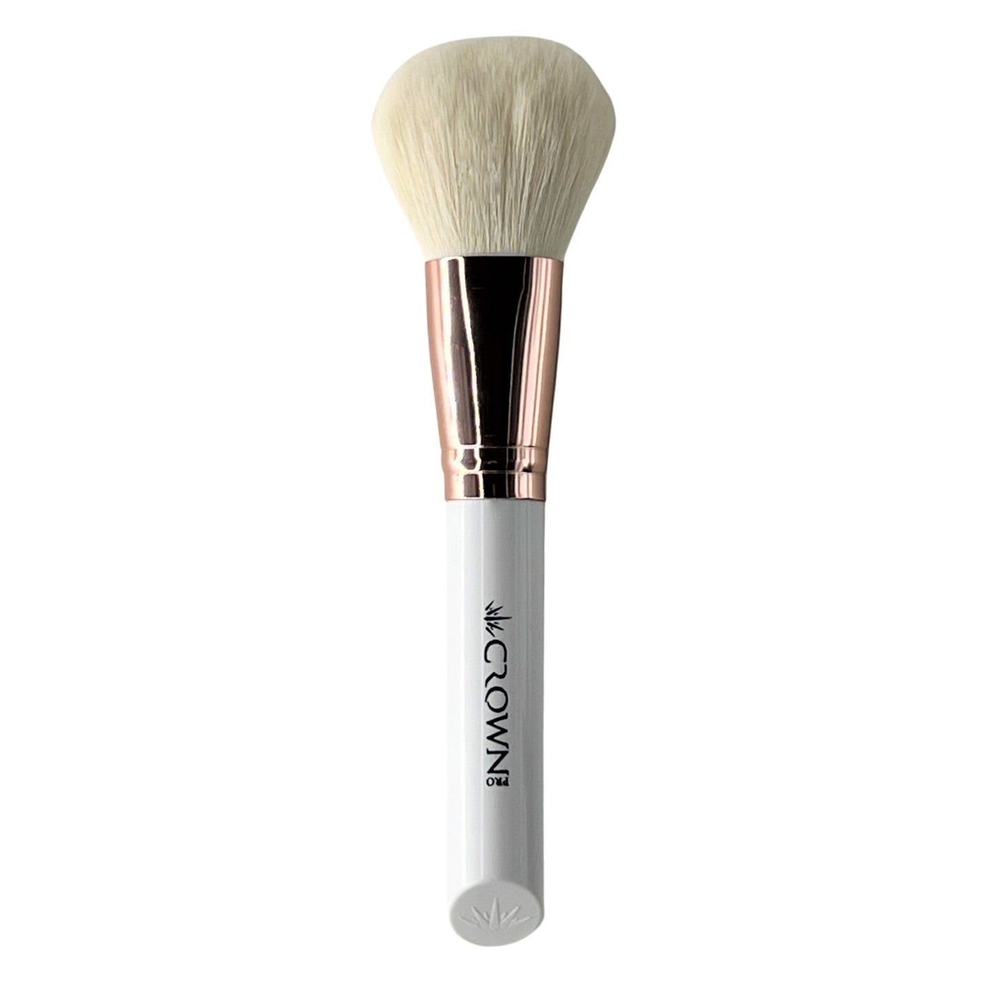CWG01- BROCHA PARA POLVO