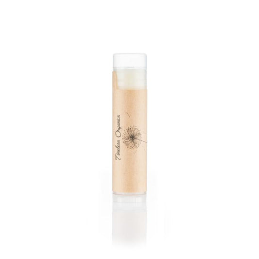 Protector Labial