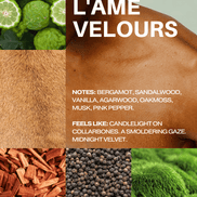 Nro. 4 - Vela L'Âme Velours