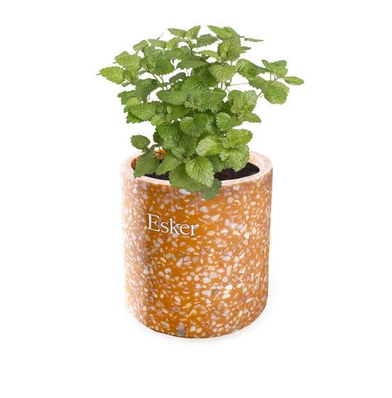 Vela Plantable de Terracota